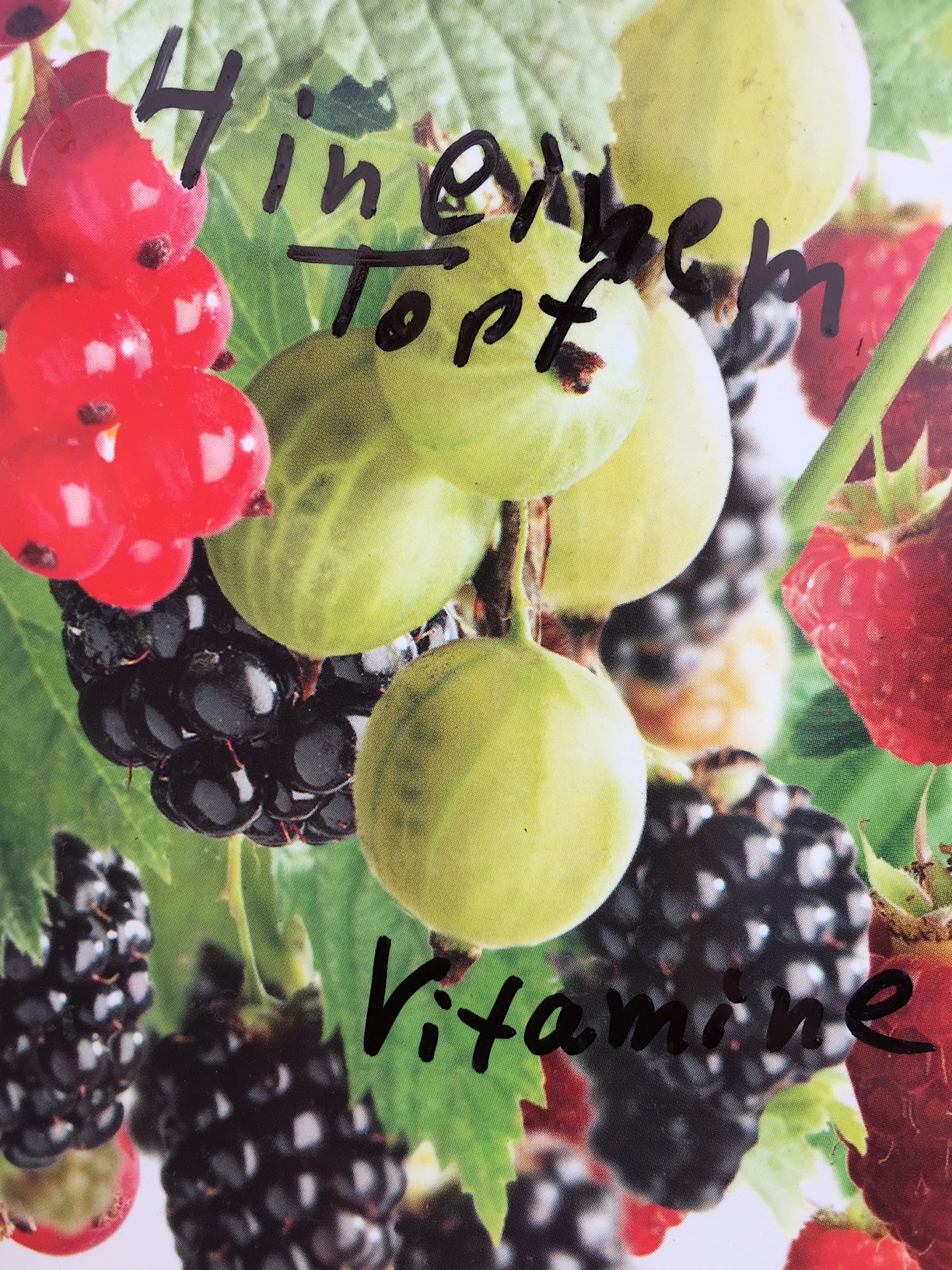 Obst Potpouri, Frucht Quartet (i.18cmT.)