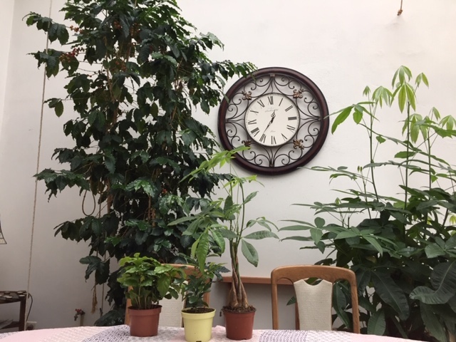 Kaffee  für Computerfreaks...