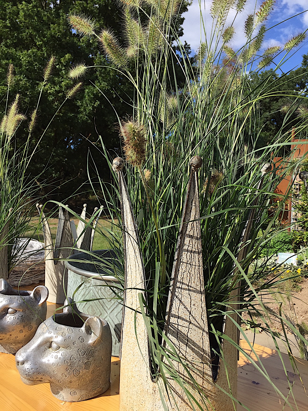 Pennisetum alopecuroides „Hameln“ (i.3 lT.) Lampenputzgras
