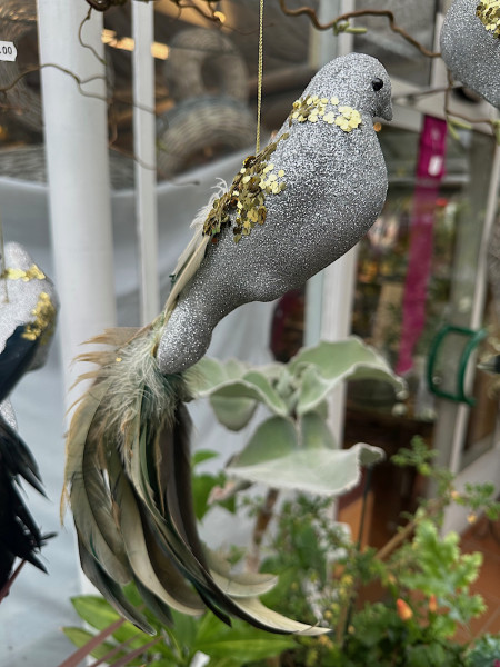 Taube in silber gold schillernd variierend (18 x 29 cm)