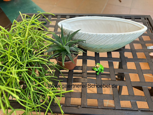 grünes Motivationsschiffchen. mit 2 Pflanzen u. 1 Frosch (Länge 22cm, Höhe 8 cm)