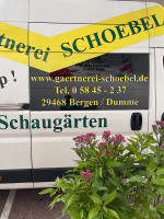 Eupatorium fistulosum „Ruby“ (i.12cmT.), Zwerg - Wasserdos Eupatorium fistulosum „Ruby“ (i.12cmT.), Zwerg - Wasserdos